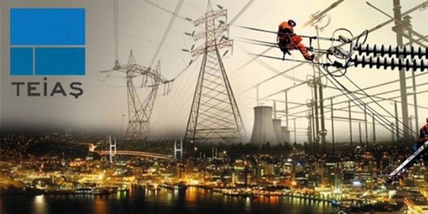 Türkiye Elektrik İletim AŞ özelleştirme kapsamına alındı