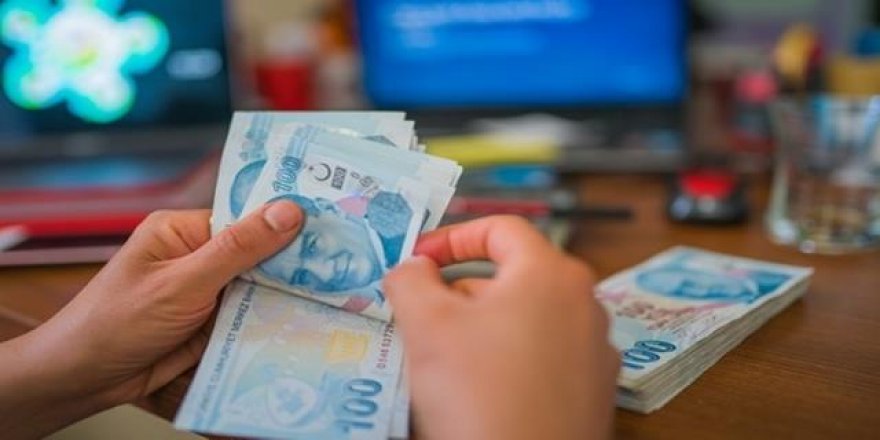 1.556 lira destek ödemesi yapılacak! En az 12 ay boyunca...