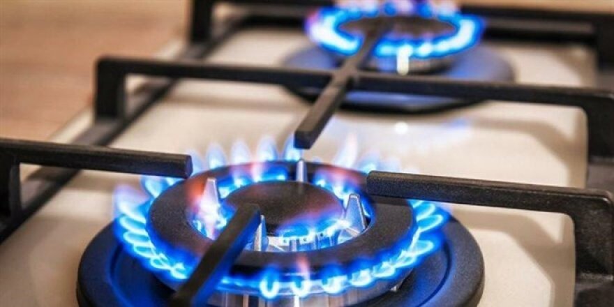 "Doğalgaz ve elektriğe %40 zam gelebilir"