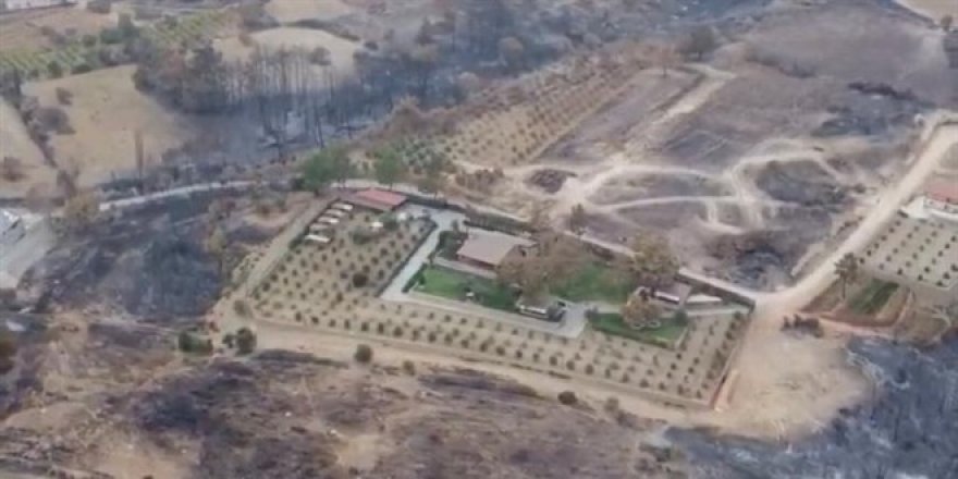 Manavgat'ta yanmayan tek yer Belediye Başkanı'nın villası!