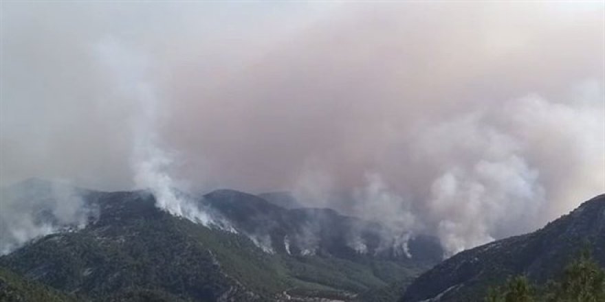 Akseki'de orman yangını çıkaran zanlı tutuklandı