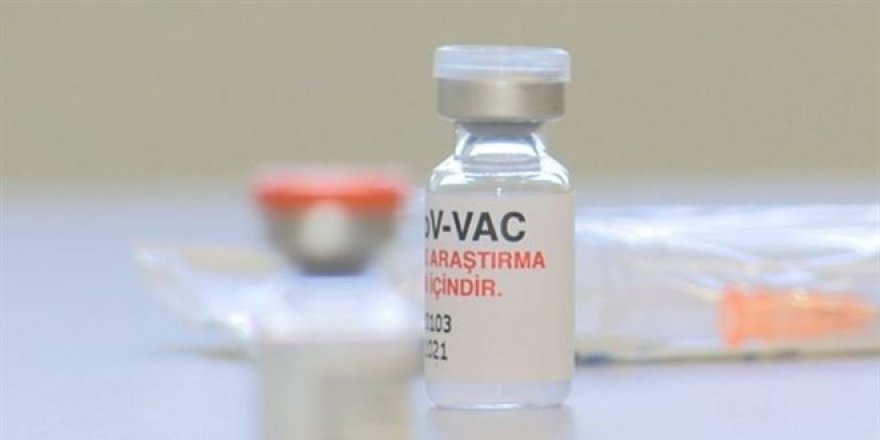 Turkovac mı Sınovac mı? 80 günlük süreç başladı