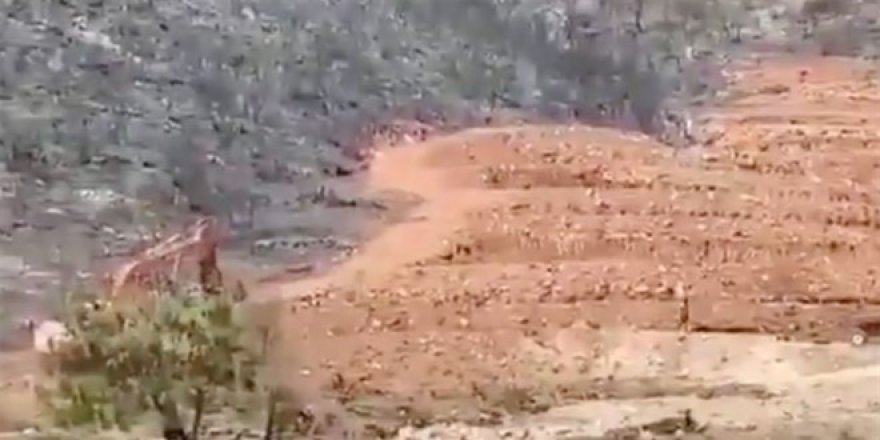 Yanan ormanda kepçe ile inşaat başladı! OGM'den açıklama geldi