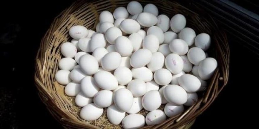 Yumurtaya asgari ücret zammı yüzde 40...