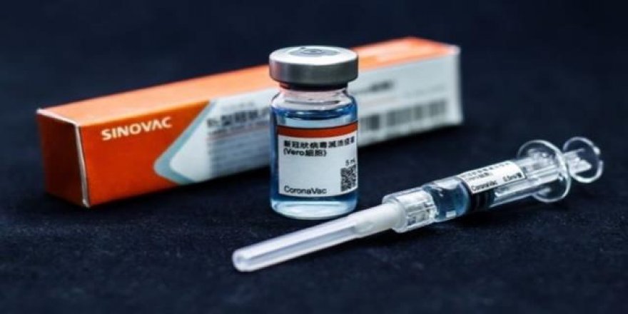 Sinovac aşısının Türkiye fiyatı ilk kez açıklandı!