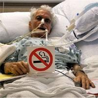 Dumansız hayat zinciri