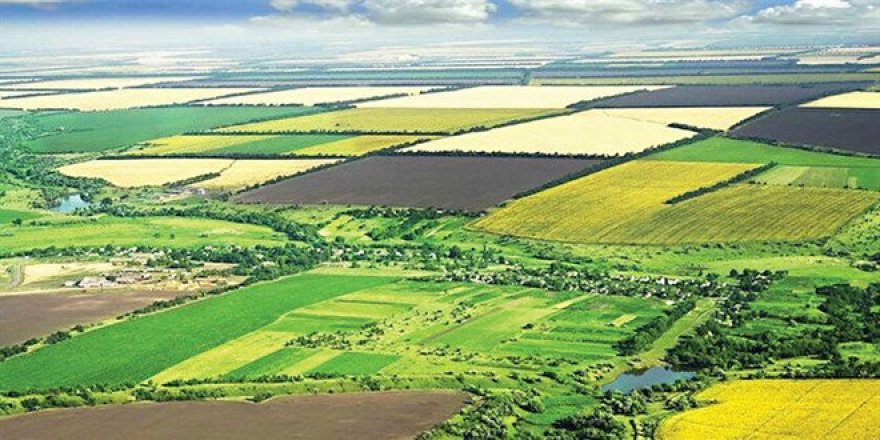 Emekli öğretmenin arazi hayali kabusa döndü