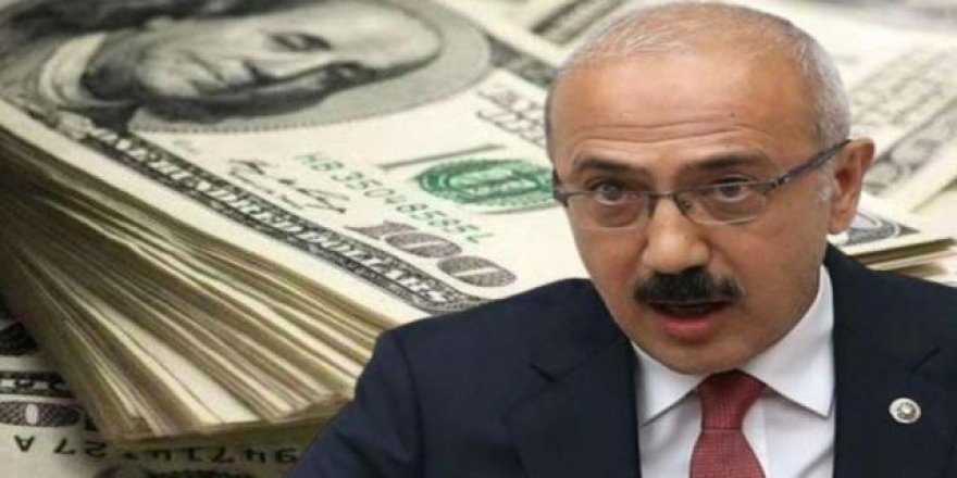 Bakan Elvan konuştu dolar ve euro fırladı