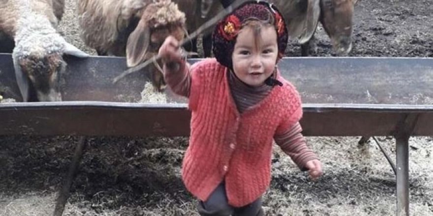 Kayıp olan 2,5 yaşındaki Müslüme'nin cansız bedeni bulundu