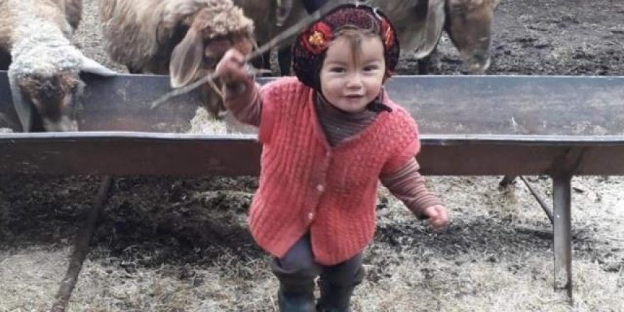 Müslüme'nin ölüm nedeni belli oldu