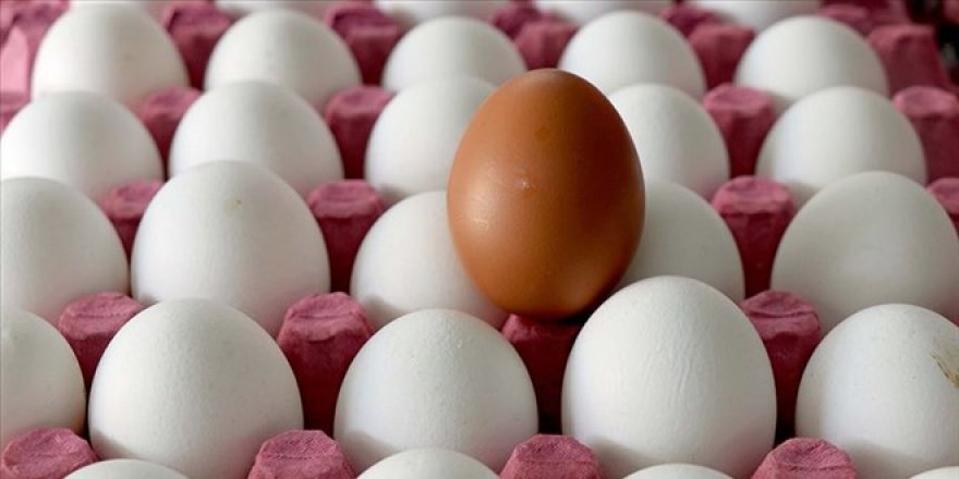 Yumurtaya yeni zam!