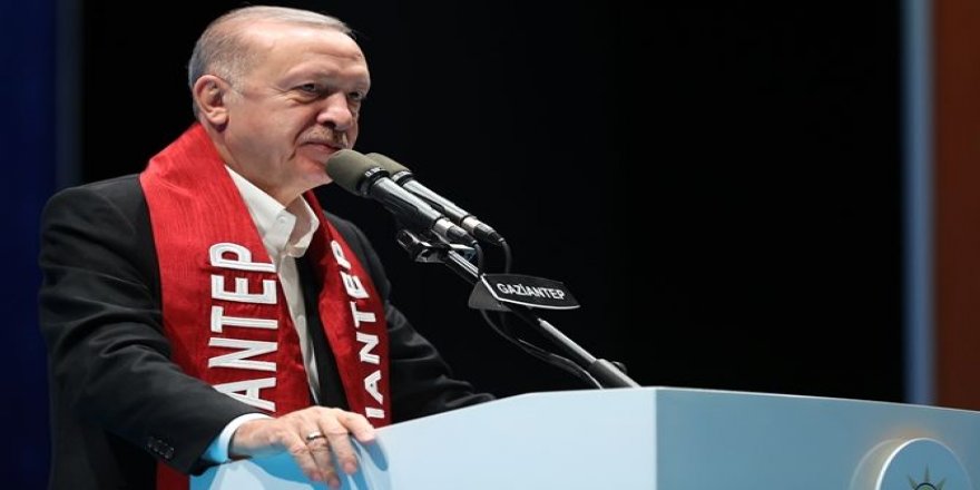 Erdoğan'dan pitbull çıkışı: Bu köpekler parası bol olanların köpekleri