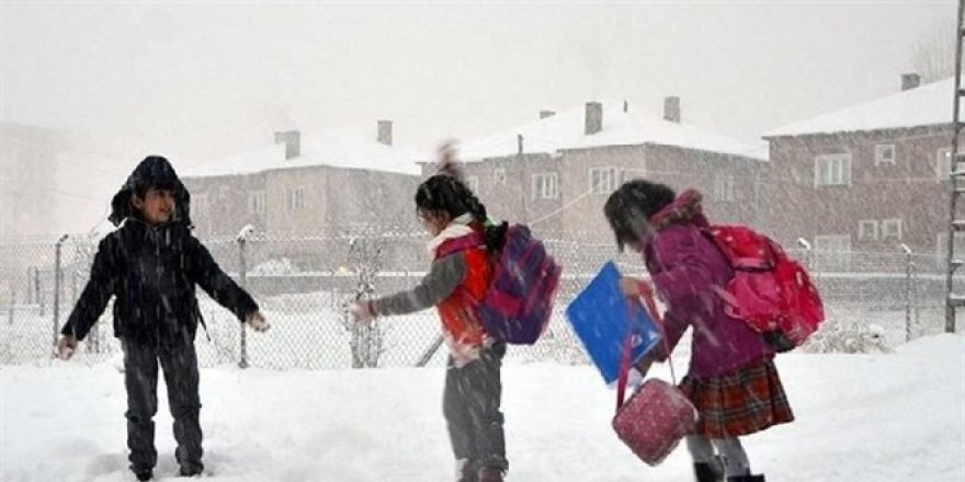 Eğitime kar engeli: 3 ilde okullar yarın tatil!