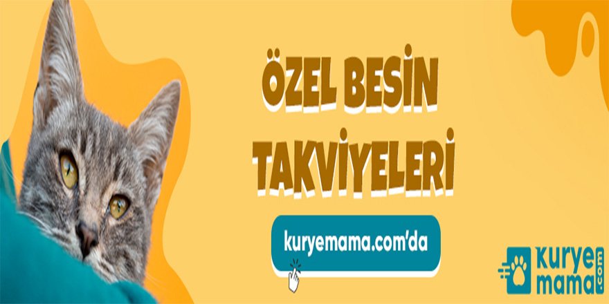 Kurye Mama Pet Shop Sitesinde Royal Canin Kedi Köpek Mamasını Gönül Rahatlığı ile Satın Alınız