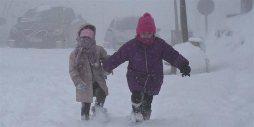 Hava şartları nedeniyle 8 ilde eğitime ara verildi