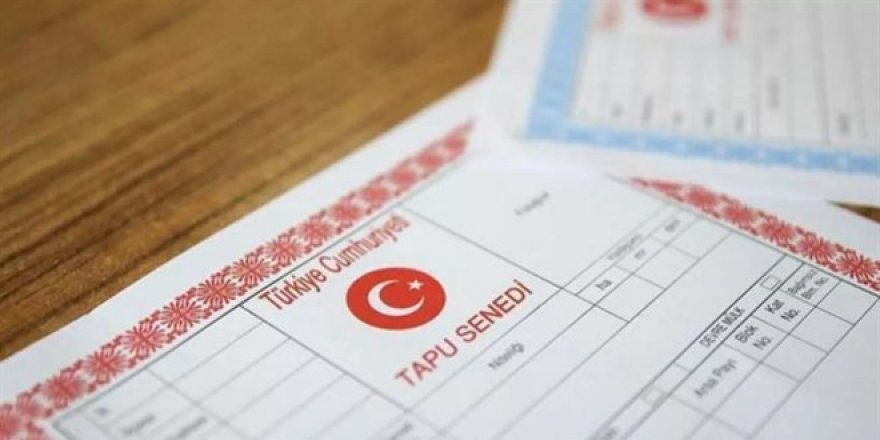 Tapular Metaverse için hazır hale getiriliyor: Pilot il Amasya