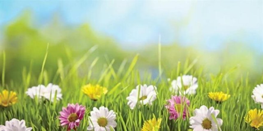 Cemre önce nereye düşecek? Havaya mı toprağa mı?