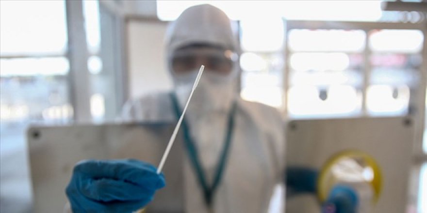 THY: İç hat uçuşlarında PCR testi kaldırıldı