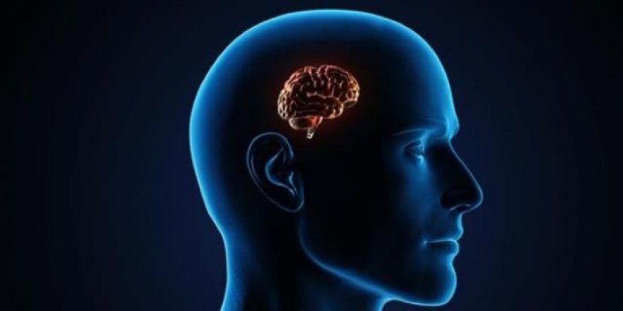 Korkutan araştırma: Covid-19’a yakalananın beyni küçülüyor