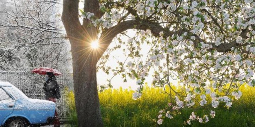 Uzmanı yanıtladı: Bahar ne zaman gelecek?
