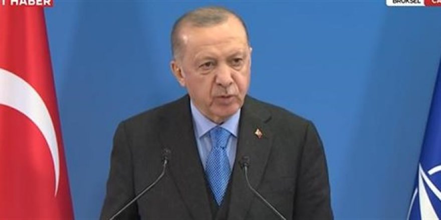 Erdoğan: Zelenskiy, referandum önererek akıllıca bir liderlik gösterdi