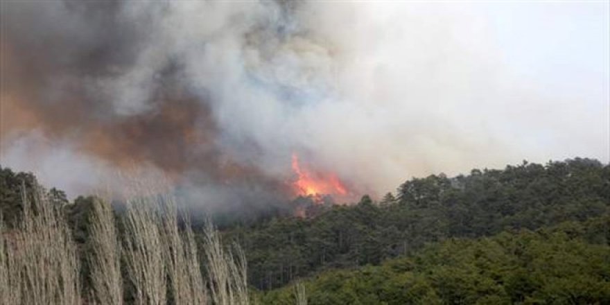 Yangın kabusu geri döndü! 5 ilde orman yangını