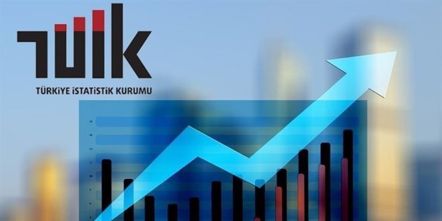TÜİK'in Tüketici Fiyatları Grup Başkanı görevinden ayrıldı