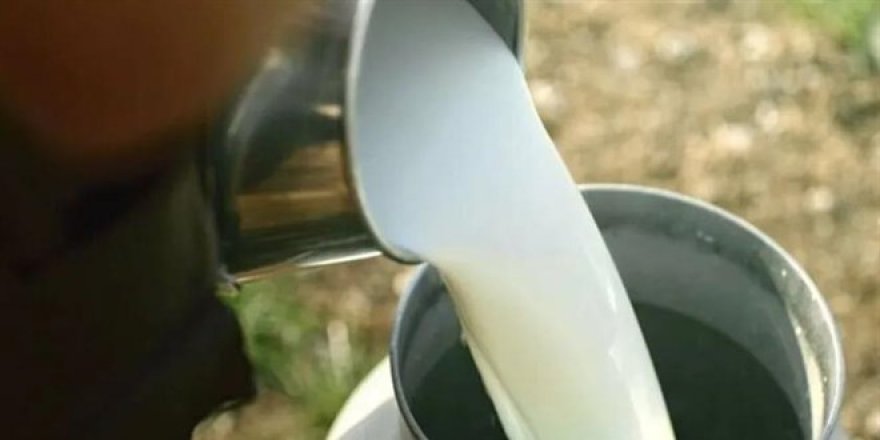 Süt ürünlerinde yüzde 40'a varan artış