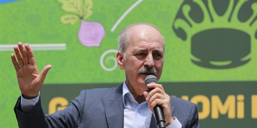 Kurtulmuş: Allah'ın izniyle doğalgazımızı çıkarırız