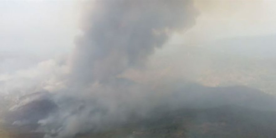 Bakan Soylu: Marmaris'teki yangında sabotajcı itiraf etti