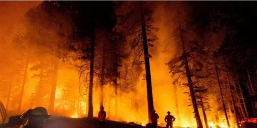 Yunan 28 yıldır ormanlarımızı yakıyor