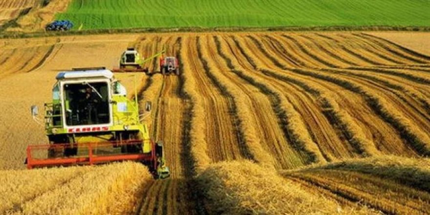 Gıda fiyatlarında büyük artışlar görülebilir