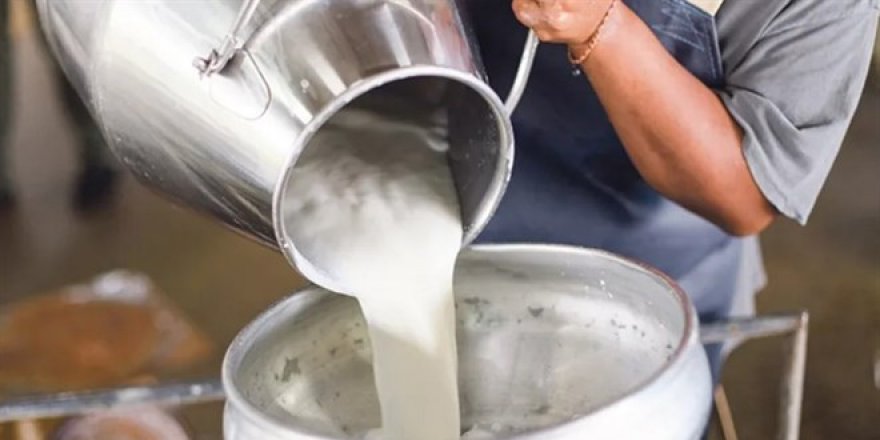 Çiğ süte zam geldi: Litresi 8,5 TL oldu