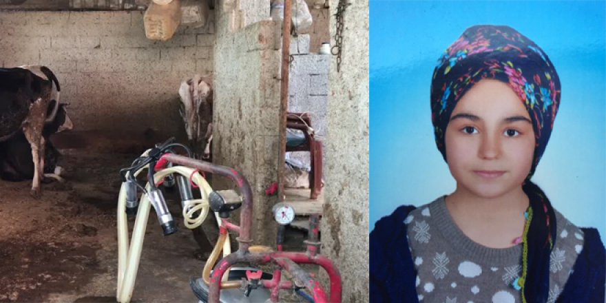 Ahırda elektrik akımına kapılan çocuk hayatını kaybetti