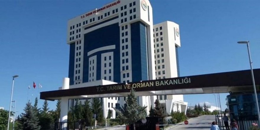 Bakanlıktan 'Singapur'da Türk markalı ürünlere izin verilmemesi' iddialarına yanıt