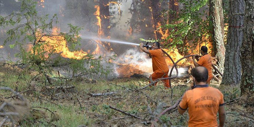 Orman yangınlarında hayatını kaybeden görevliler 'şehit' sayılacak