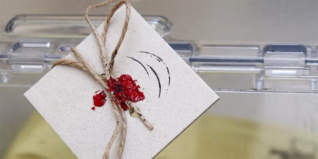 2'nci tur için yurt dışı oy verme tarihleri belli oldu