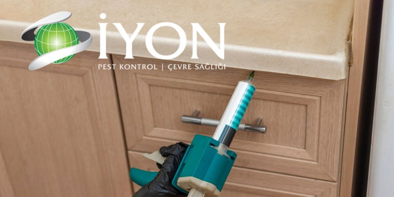 İyon İlaçlama'nın Uzman Hizmetleri ile Kapsamlı Hamamböceği Kontrolü