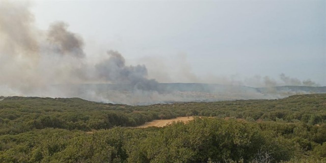 Çanakkale'de ikinci yangın: Gelibolu Yarımadası'nda orman yangını başladı