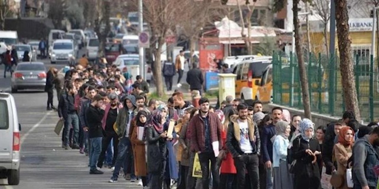 Her üç işsizden biri üniversite mezunu