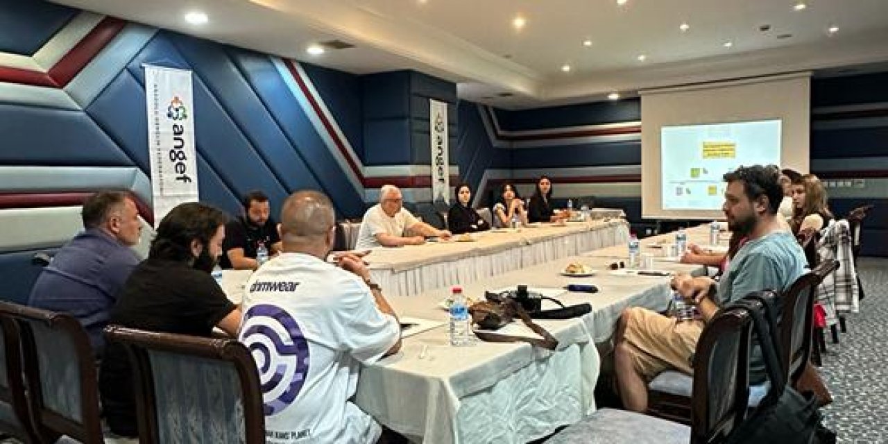 Ne Eğitimde Ne İstihdamda Olan Gençlere Yönelik İşgücü Piyasası Destek Programı Operasyonu (NEETPRO)