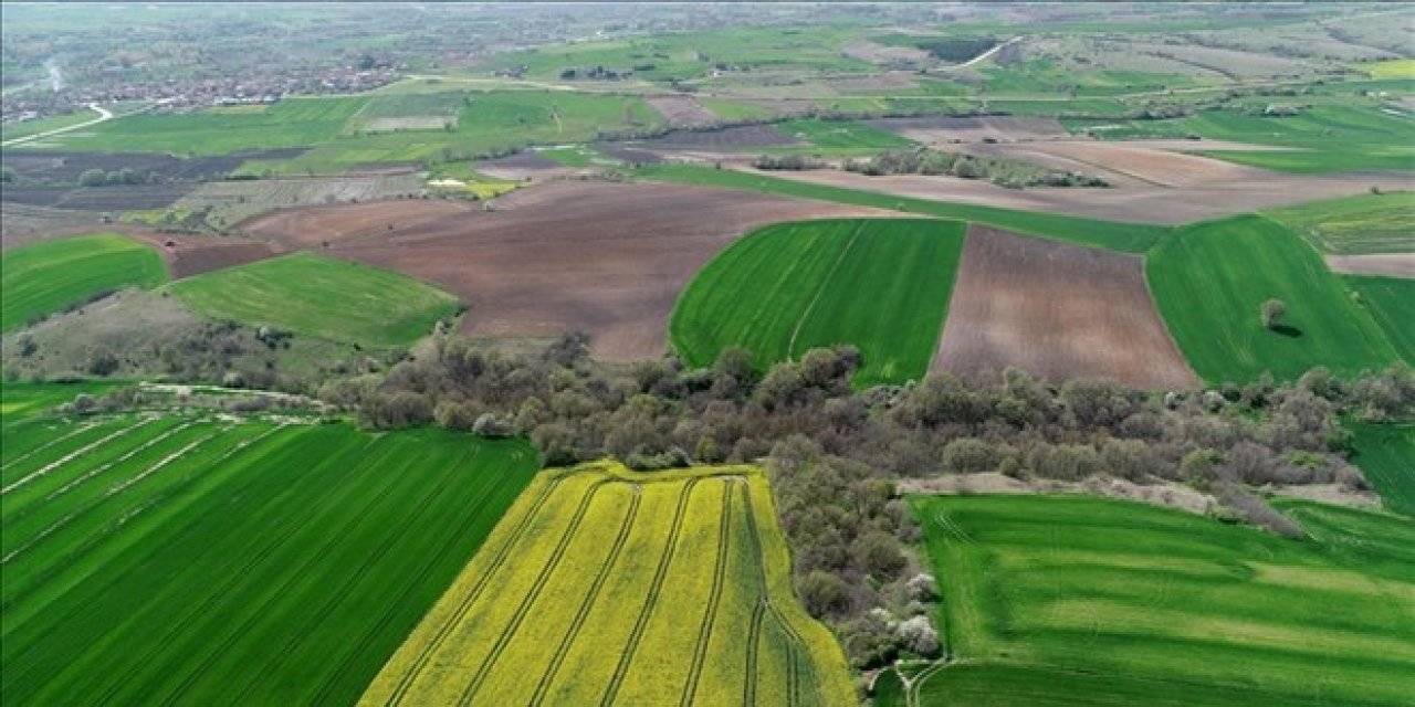 2023'te en çok arsa aranan il?