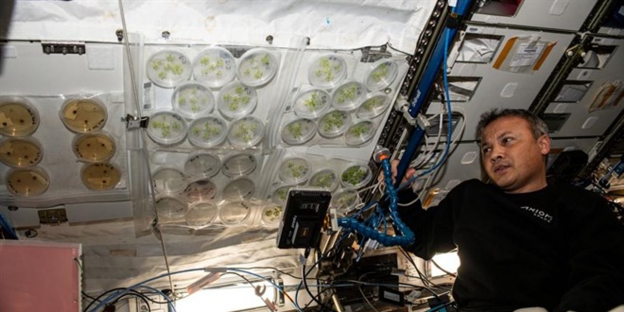 Uzayda 9. deney: Gezeravcı 'MESSAGE' deneyine başladı