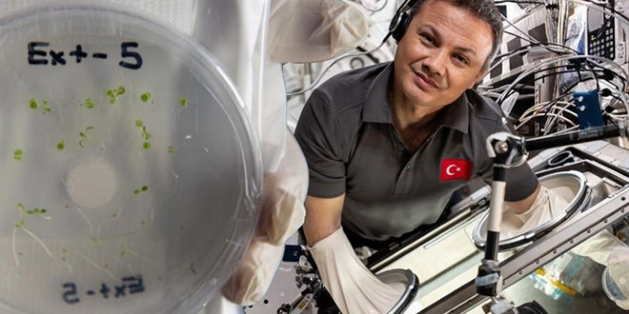 Gezeravcı'nın deneyleri Kanserlere tedavi imkanı sağlayacak