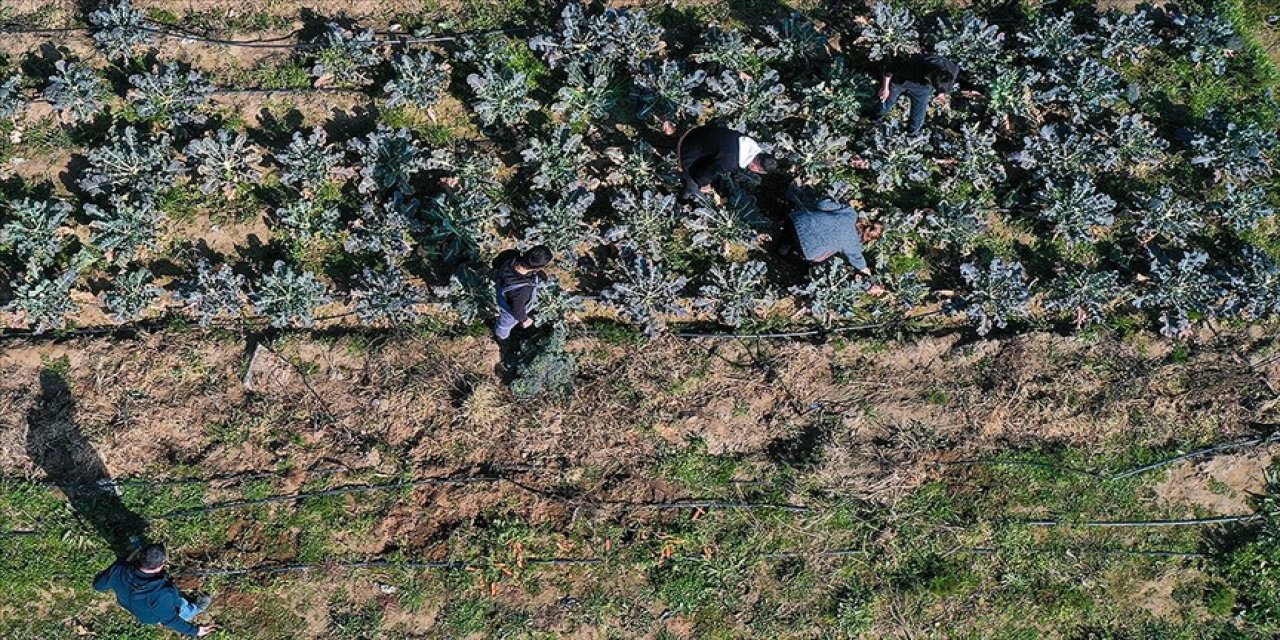 Çöplüktü meslek liselilerin eliyle bostana dönüştü