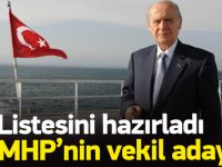 MHP'nin 1 Kasım seçimlerindeki aday listesi