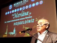 Mustafa Kır: Mevlana Folklorik Gösterilere Kurban Edilmemelidir