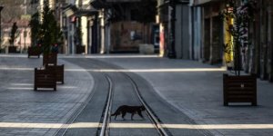 Sokağa çıkma yasağında neler serbest?