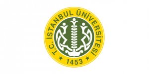 İstanbul Üniversitesi Öğretim Üyesi Alım İlanı
