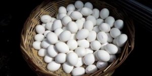 Yumurtaya asgari ücret zammı yüzde 40...